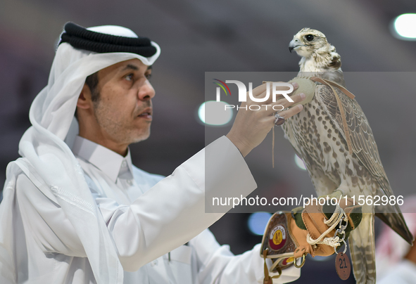 An exhibitor shows a falcon during the 8th edition of the Katara International Hunting and Falcons Exhibition 2024 (S'hail) at Katara Cultur...