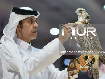 An exhibitor shows a falcon during the 8th edition of the Katara International Hunting and Falcons Exhibition 2024 (S'hail) at Katara Cultur...