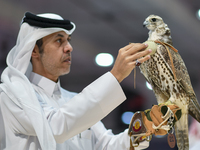 An exhibitor shows a falcon during the 8th edition of the Katara International Hunting and Falcons Exhibition 2024 (S'hail) at Katara Cultur...