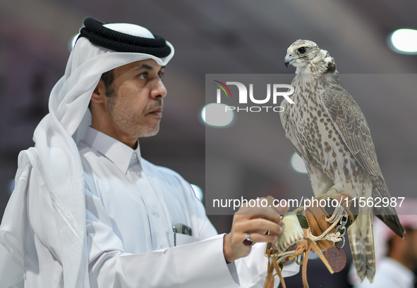 An exhibitor shows a falcon during the 8th edition of the Katara International Hunting and Falcons Exhibition 2024 (S'hail) at Katara Cultur...