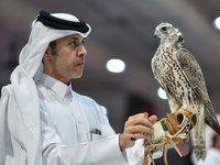 An exhibitor shows a falcon during the 8th edition of the Katara International Hunting and Falcons Exhibition 2024 (S'hail) at Katara Cultur...