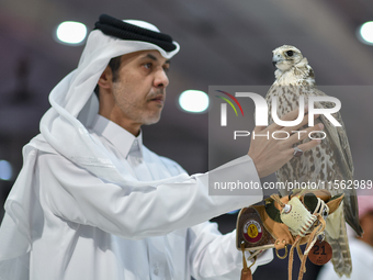 An exhibitor shows a falcon during the 8th edition of the Katara International Hunting and Falcons Exhibition 2024 (S'hail) at Katara Cultur...