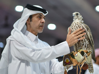 An exhibitor shows a falcon during the 8th edition of the Katara International Hunting and Falcons Exhibition 2024 (S'hail) at Katara Cultur...