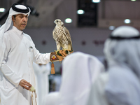 An exhibitor shows a falcon during the 8th edition of the Katara International Hunting and Falcons Exhibition 2024 (S'hail) at Katara Cultur...