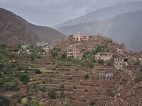 One year after the devastating earthquake that strikes Morocco on September 8, 2023, the consequences of the disaster continue to affect the...