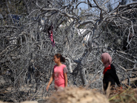 Palestinians inspect the damage at the site of Israeli strikes on a makeshift displacement camp in Mawasi Khan Yunis in the Gaza Strip on Se...