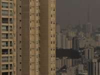 Dry weather and a layer of pollution cover the sky in Sao Paulo, Brazil, on September 10, 2024. The atmospheric blockage, a dry air mass, pe...