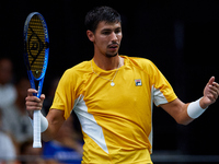 Alexei Popyrin of Australia reacts during the game against Ugo Humbert of France during the Davis Cup Group B Stage 2024 match between Austr...