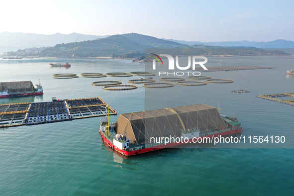 A photo taken on September 10, 2024, shows the experimental field of a far-reaching marine aquaculture project in Fuzhou, Fujian province, C...