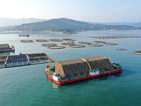 A photo taken on September 10, 2024, shows the experimental field of a far-reaching marine aquaculture project in Fuzhou, Fujian province, C...