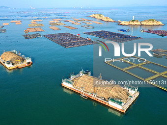 A photo taken on September 10, 2024, shows the experimental field of a far-reaching marine aquaculture project in Fuzhou, Fujian province, C...