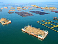 A photo taken on September 10, 2024, shows the experimental field of a far-reaching marine aquaculture project in Fuzhou, Fujian province, C...