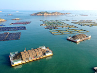 A photo taken on September 10, 2024, shows the experimental field of a far-reaching marine aquaculture project in Fuzhou, Fujian province, C...