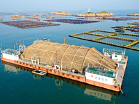 A photo taken on September 10, 2024, shows the experimental field of a far-reaching marine aquaculture project in Fuzhou, Fujian province, C...