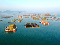 A photo taken on September 10, 2024, shows the experimental field of a far-reaching marine aquaculture project in Fuzhou, Fujian province, C...