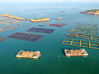 A photo taken on September 10, 2024, shows the experimental field of a far-reaching marine aquaculture project in Fuzhou, Fujian province, C...