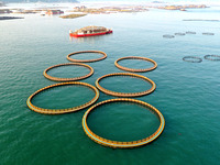 A photo taken on September 10, 2024, shows the experimental field of a far-reaching marine aquaculture project in Fuzhou, Fujian province, C...