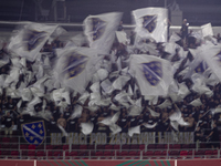 Bosnia and Herzegovina fans attend the UEFA Nations League match at Puskas Arena in Budapest, Hungary, on September 10, 2024. (