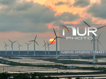 Wind turbines rotate in the wind on the coastal beaches of Yancheng City, Jiangsu Province, China, on September 10, 2024. (