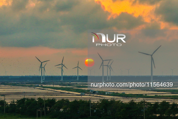 Wind turbines rotate in the wind on the coastal beaches of Yancheng City, Jiangsu Province, China, on September 10, 2024. 