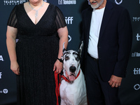 Bev Klingensmith (L) and Bill Berloni (R) pose for a photo with Bing the Dog as they attend the premiere of 'The Friend' during the 2024 Tor...