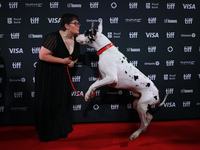 Bev Klingensmith poses for a photo with Bing the Dog as they attend the premiere of 'The Friend' during the 2024 Toronto International Film...