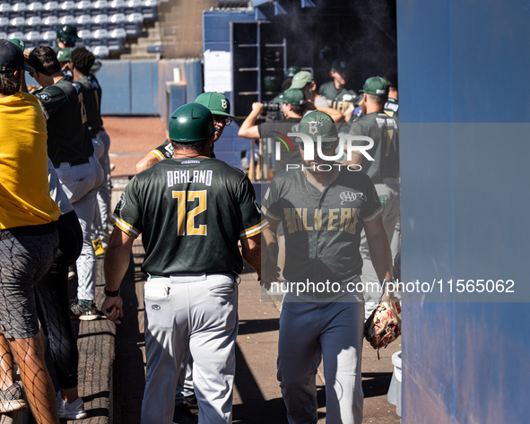 The Yolo High Wheelers (14) beat the Oakland Ballers (4) in game 1 (round 1) of the Pioneer Baseball League's playoffs in Davis, Calif., on...