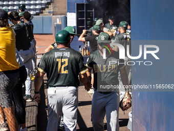 The Yolo High Wheelers (14) beat the Oakland Ballers (4) in game 1 (round 1) of the Pioneer Baseball League's playoffs in Davis, Calif., on...