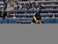 The Yolo High Wheelers (14) beat the Oakland Ballers (4) in game 1 (round 1) of the Pioneer Baseball League's playoffs in Davis, Calif., on...