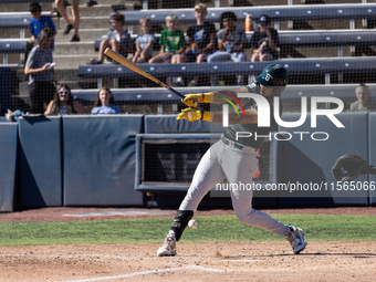 The Yolo High Wheelers (14) beat the Oakland Ballers (4) in game 1 (round 1) of the Pioneer Baseball League's playoffs in Davis, Calif., on...