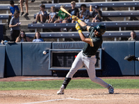 The Yolo High Wheelers (14) beat the Oakland Ballers (4) in game 1 (round 1) of the Pioneer Baseball League's playoffs in Davis, Calif., on...