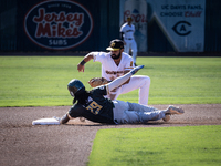 The Yolo High Wheelers (14) beat the Oakland Ballers (4) in game 1 (round 1) of the Pioneer Baseball League's playoffs in Davis, Calif., on...