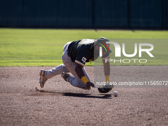 The Yolo High Wheelers (14) beat the Oakland Ballers (4) in game 1 (round 1) of the Pioneer Baseball League's playoffs in Davis, Calif., on...