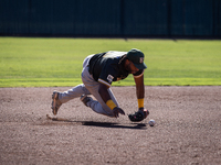 The Yolo High Wheelers (14) beat the Oakland Ballers (4) in game 1 (round 1) of the Pioneer Baseball League's playoffs in Davis, Calif., on...