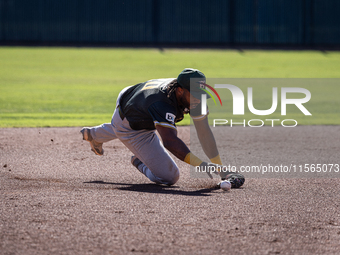 The Yolo High Wheelers (14) beat the Oakland Ballers (4) in game 1 (round 1) of the Pioneer Baseball League's playoffs in Davis, Calif., on...