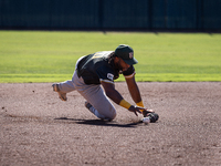 The Yolo High Wheelers (14) beat the Oakland Ballers (4) in game 1 (round 1) of the Pioneer Baseball League's playoffs in Davis, Calif., on...