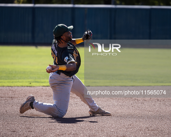 The Yolo High Wheelers (14) beat the Oakland Ballers (4) in game 1 (round 1) of the Pioneer Baseball League's playoffs in Davis, Calif., on...