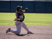 The Yolo High Wheelers (14) beat the Oakland Ballers (4) in game 1 (round 1) of the Pioneer Baseball League's playoffs in Davis, Calif., on...