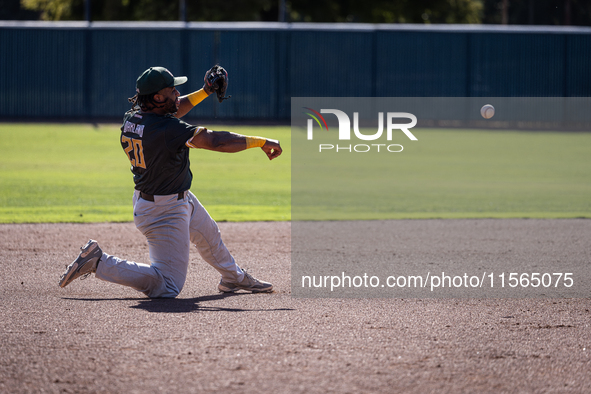 The Yolo High Wheelers (14) beat the Oakland Ballers (4) in game 1 (round 1) of the Pioneer Baseball League's playoffs in Davis, Calif., on...