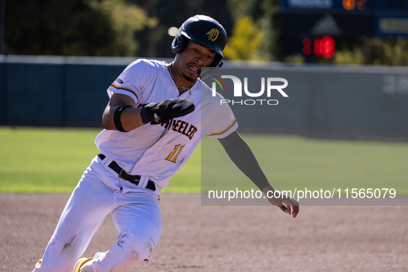 The Yolo High Wheelers (14) beat the Oakland Ballers (4) in game 1 (round 1) of the Pioneer Baseball League's playoffs in Davis, Calif., on...