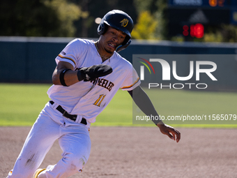 The Yolo High Wheelers (14) beat the Oakland Ballers (4) in game 1 (round 1) of the Pioneer Baseball League's playoffs in Davis, Calif., on...