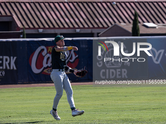 The Yolo High Wheelers (14) beat the Oakland Ballers (4) in game 1 (round 1) of the Pioneer Baseball League's playoffs in Davis, Calif., on...