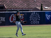 The Yolo High Wheelers (14) beat the Oakland Ballers (4) in game 1 (round 1) of the Pioneer Baseball League's playoffs in Davis, Calif., on...