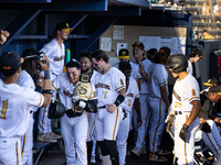 The Yolo High Wheelers (14) beat the Oakland Ballers (4) in game 1 (round 1) of the Pioneer Baseball League's playoffs in Davis, Calif., on...