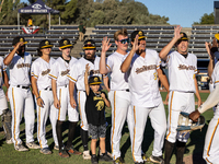 The Yolo High Wheelers (14) beat the Oakland Ballers (4) in game 1 (round 1) of the Pioneer Baseball League's playoffs in Davis, Calif., on...