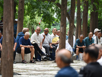 Elderly people relax at a park on Lindai Road in Fuyang, China, on September 11, 2024. (