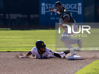 The Yolo High Wheelers (14) beat the Oakland Ballers (4) in game 1 (round 1) of the Pioneer Baseball League's playoffs in Davis, Calif., on...