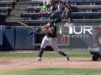 The Yolo High Wheelers (14) beat the Oakland Ballers (4) in game 1 (round 1) of the Pioneer Baseball League's playoffs in Davis, Calif., on...