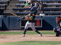 The Yolo High Wheelers (14) beat the Oakland Ballers (4) in game 1 (round 1) of the Pioneer Baseball League's playoffs in Davis, Calif., on...