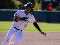 The Yolo High Wheelers (14) beat the Oakland Ballers (4) in game 1 (round 1) of the Pioneer Baseball League's playoffs in Davis, Calif., on...